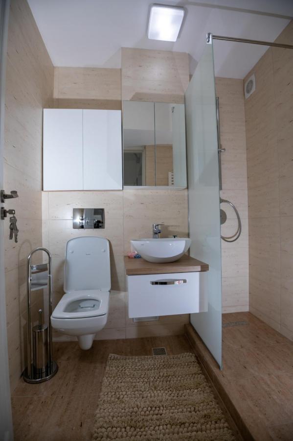 Apartament Central Târgu Jiu エクステリア 写真